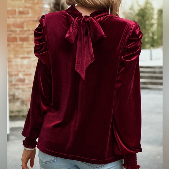 Tie Up Mock Neck Velvet Fabric Long Sleeve Blouse - Picture 7 of 12